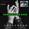 About Truibulation 2020 Song