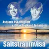 About Saltstraumvisa Song