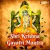 Shree Krishna Gayatri Mantra