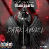 About Dark Angel Song