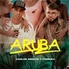 About Aruba Song