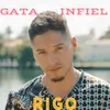 About Gata Infiel Song