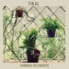 @360musiclab, Vol. 1: Tikal 360