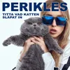 About Titta vad katten släpat in Song