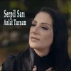 About Anlat Turnam Song