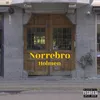 About Nørrebro Song