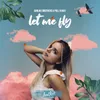About Let Me Fly Song