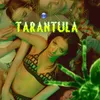 About Tarantula Song