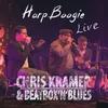 About Harp Boogie-Live Song