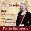 About 12 Fantasias for Flute, Fantasia No. 5 in C Major, TWV 40:6: I. Presto - Largo - Presto - Dolce Song