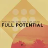 Full Potential-Extended Mix