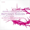 About St Matthew Passion: O weh demselben, welcher hat (Choral) Song