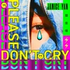 About Please Don't Cry Song