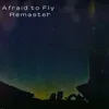 About Afraid to Fly Song