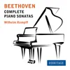 Piano Sonata No. 13 in E-Flat Major, Op. 27 No. 1 "Quasi una fantasia": II. Allegro molto e vivace