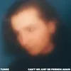 About Can't We Just Be Friends Again Song
