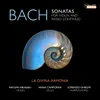 Violin Sonata in G Major, BWV 1021: III. Largo
