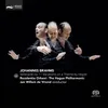 Serenade No. 1 in D Major, Op. 11: Menuetto I – Menuetto II