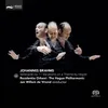 Variations on a Theme by J. Haydn, Op. 56a: Variation 5: Vivace (Poco presto)