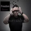 About Freedom Song