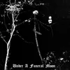 To Walk the Infernal Fields-Studio