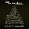 Lost in a Maze