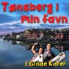 About Tønsberg i min favn Song