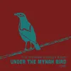 Under the Mynah Bird-Live