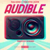 About Audible Song