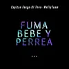 About Fuma, Bebe y Perrea Song