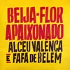 About Beija-Flor Apaixonado Song