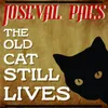 About The Old Cat Still Lives Song