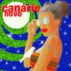 About Canário Novo Song