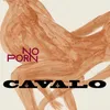 About Cavalo Song