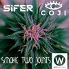 About Smoke Two Joints Song