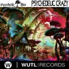 About Psychedelic Crazy Song
