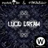 About Lucid Dream Song