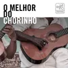 Samba Pro Ferreira