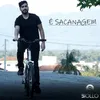 About É Sacanagem Song