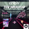 About Flow Underground Song