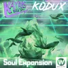 About Soul Expansion Song
