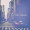 New York Sensations-The New York Sensations Mix