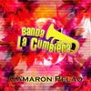 About Camarón Pelao Song