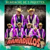 About Huaraches de 3 Piquetes Song