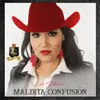 About Maldita Confusión Song