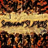 About Sargeant Sleazus Song