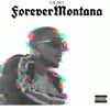 About Forever Montana Song