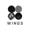 Interlude: Wings