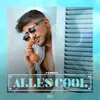 About Alles Cool Song