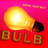 About Bulb Song